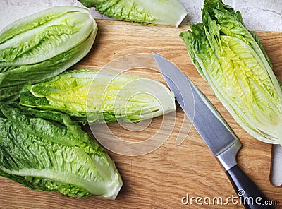 Romaine lettuce Stock Photo