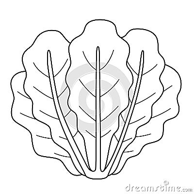 Romaine Lettuce Vegetable Isolated Coloring Page Vector Illustration