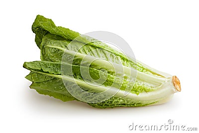 Romaine lettuce Stock Photo