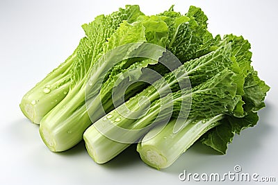 Romaine Lettuce on white background Stock Photo