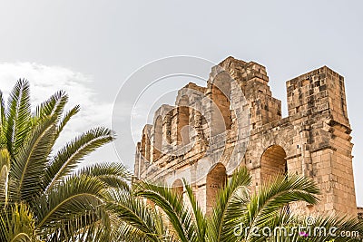 Palm trees and the Roman Amphitheatre of El Djem, Tunisia, Africa Stock Photo
