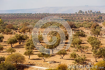Roman road of Umm Qais, Jordan aerial view Stock Photo