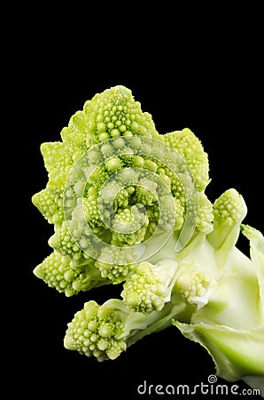 Romanesco Broccoli Floret on Black Background Stock Photo