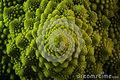 Romanesco broccoli or Roman cauliflower, close up shot from above, texture detail Stock Photo