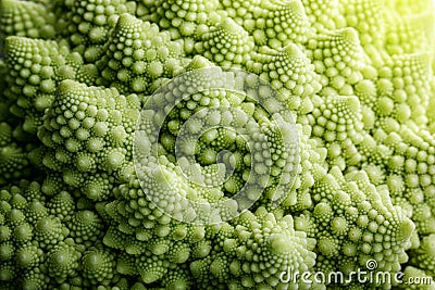 Romanesco cauliflower close-up. Fractal structure on Romanesco broccoli or Roman cauliflower Brassica oleracea, a variation of Stock Photo
