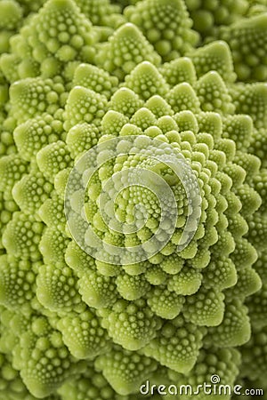 Romanesco Florets in a logarithmic spiral Stock Photo