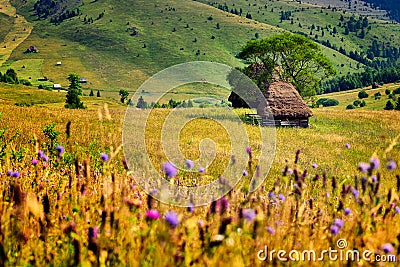 Romania ,Apuseni mountain in the spring ,traditional houses Stock Photo