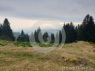 Romania, Buila&Vanturarita Mountains, Brazi Meadow. Stock Photo