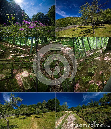 Romania - Dacian Fortress of Piatra Rosie Stock Photo