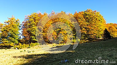 Romania, Hillocks of The Bran. Stock Photo