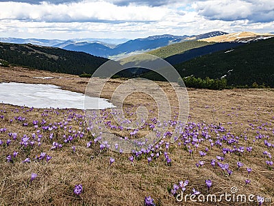 Romania, Latoritei Mountains, Mieru Peak Stock Photo