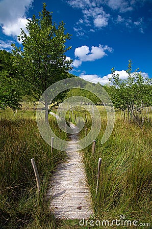 Romania - Pesteana marsh (Bottomless Lake) Stock Photo