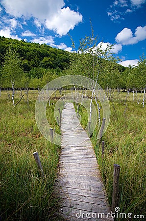 Romania - Pesteana marsh (Bottomless Lake) Stock Photo