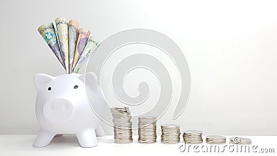 RON in a piggy bank Stock Photo