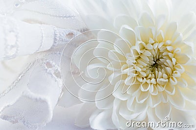 Romantic abstract background Stock Photo