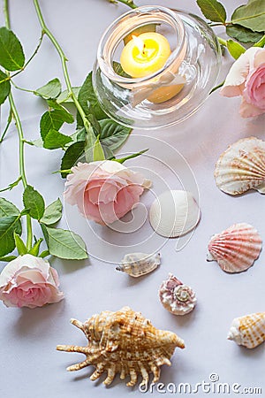 Romantic arrangement with a candle, roses ans seashells Stock Photo