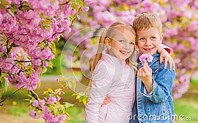 Romantic babies. Kids enjoying pink cherry blossom. Tender love feelings. Couple kids on flowers of sakura tree Stock Photo