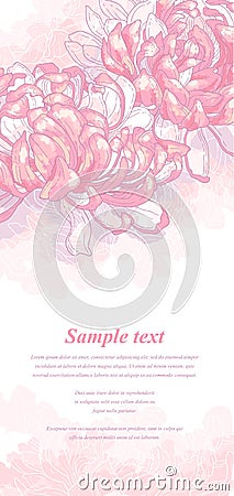 Romantic background with pink chrysanthemum Vector Illustration