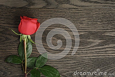 Romantic background with red rose on wood table Stock Photo