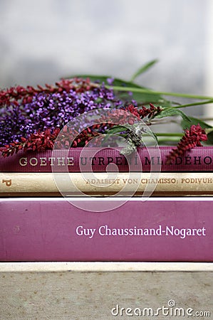 Romantic books and flowers summer reading stillife Stock Photo