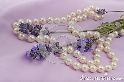Romantic composition of the branches of blooming lavender Stock Photo
