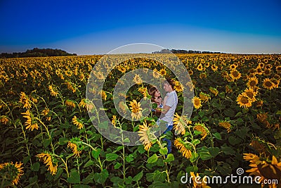 Romantic couple standing and kissing on background summer field sunflower sunset Stock Photo