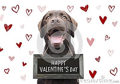 Romantic dog with text happy valentines day on wooden board with cute hand drawn hearts on white background for 14 february Stock Photo