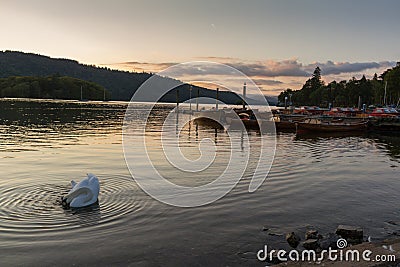 Romantic dusk scene of beautiful mute swan and moored boats in Lake Windermere Stock Photo