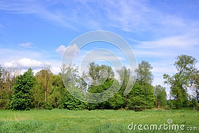 Romantic flat landscape in a wetland in Germany, with green lush meadows and trees, against a blue sky in spring Stock Photo