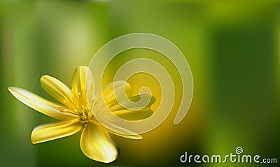 Romantic floral background. Flower. Rose closeup on green. Stock Photo