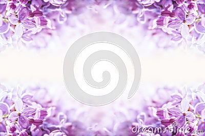 Romantic floral background with purple or violet lilac flowers Stock Photo