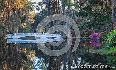 Romantic Garden with Bridge in South Carolina Stock Photo