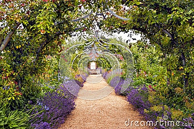 Romantic garden full of flowers in bloom Stock Photo