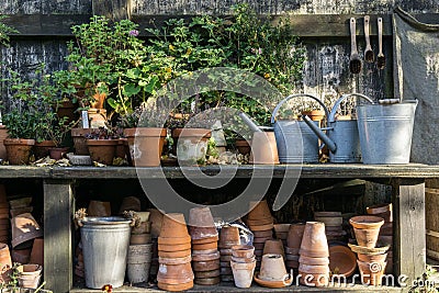 Romantic idyllic plant table in the garden with old retro flower pot pots, tools and plants Stock Photo