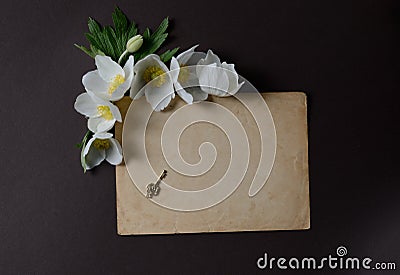 Romantic layout with White Anemone flowers, and emty card for text on a black background. Stock Photo