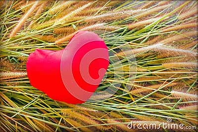 Romantic lovely valentine red heart on grass flower for love background Stock Photo