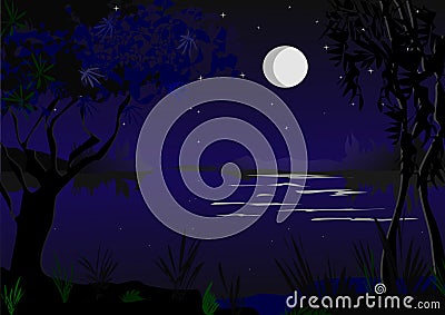 Romantic moonlight Vector Illustration