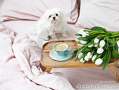 Romantic morning.A coffee table in a pink bed end flowers Stock Photo