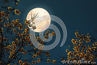 Romantic night fantasy with full moon Stock Photo