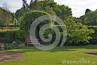 Romantic nook with wood bench and hedge Stock Photo