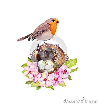 Romantic picture with cute robin bird in nest with eggs in spring flowers. Cherry blossom, sakura, pink apple blooming Cartoon Illustration