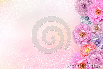 Romantic pink purple roses flower border on soft glitter background for valentine or wedding card in pastel tone Stock Photo