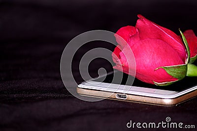 Romantic proposal, Red rose put on mobile Stock Photo