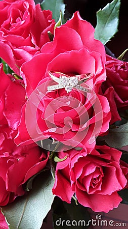 Romantic Red roses and ring Editorial Stock Photo