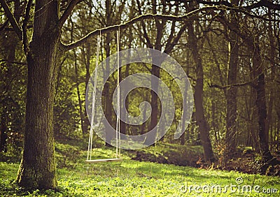 Romantic scene of a swing hanging from tree branch Stock Photo