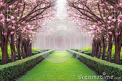 Romantic tunnel. Stock Photo