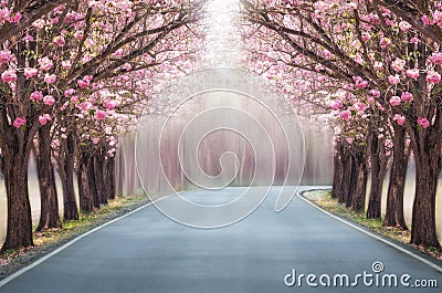 Romantic tunnel. Stock Photo