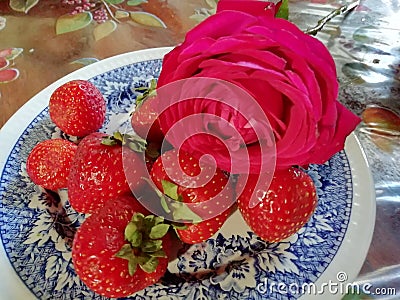 Romantic Valentines red rose and strawberries close up Stock Photo