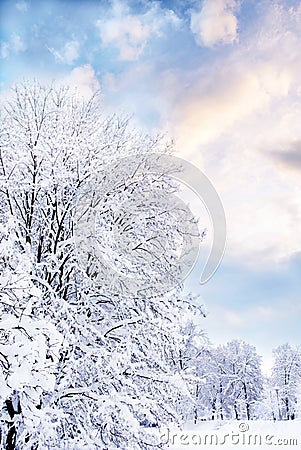 Romantic winter Stock Photo