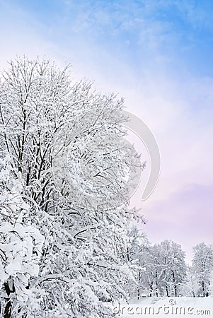 Romantic winter Stock Photo